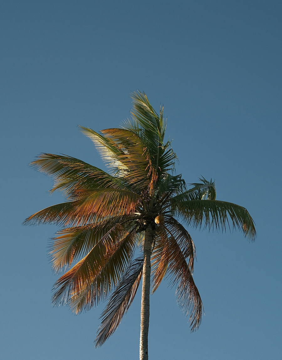 Sj objio n3y RI13js10 unsplash