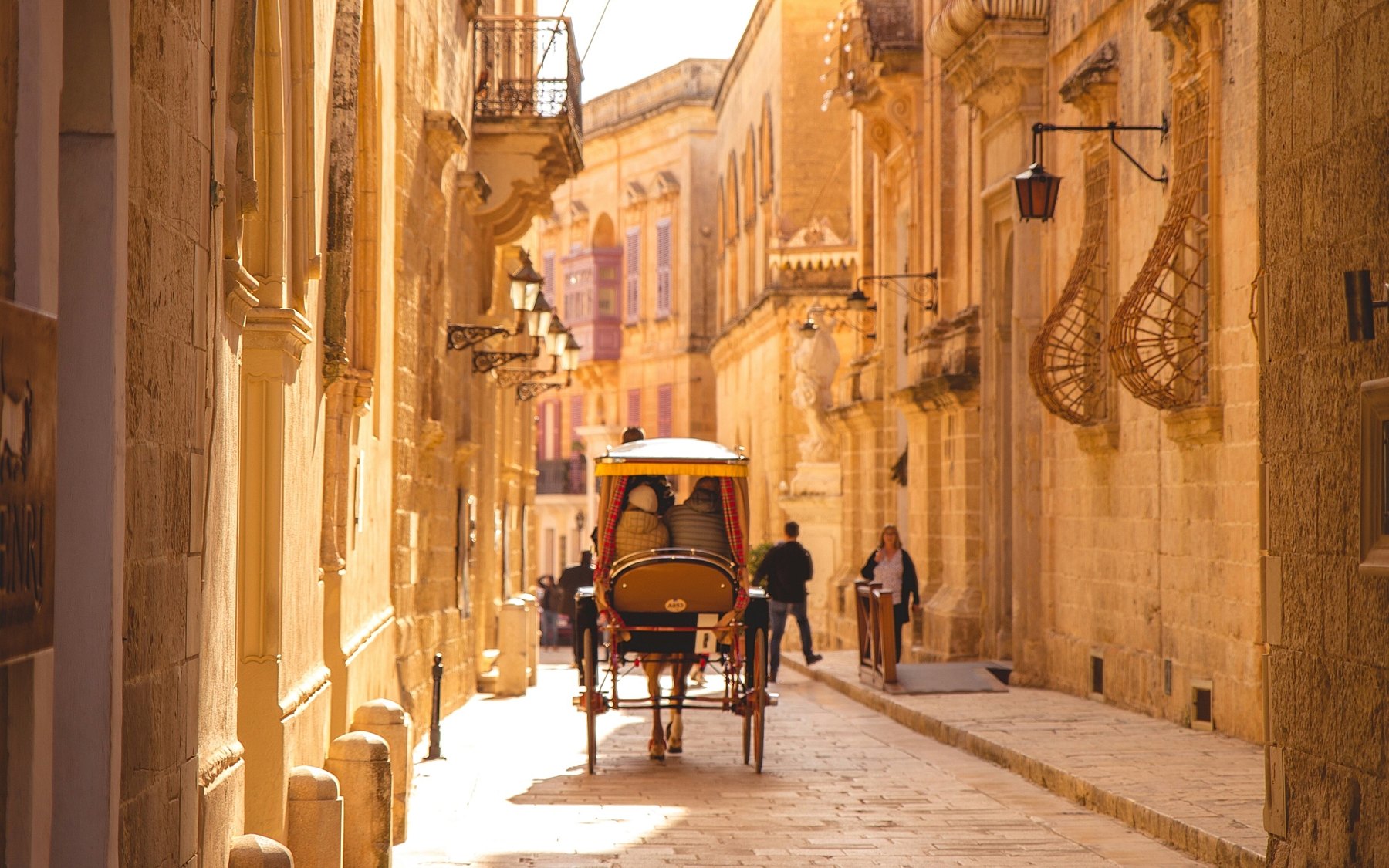 David alfons c Y4s SR VFIQ unsplash