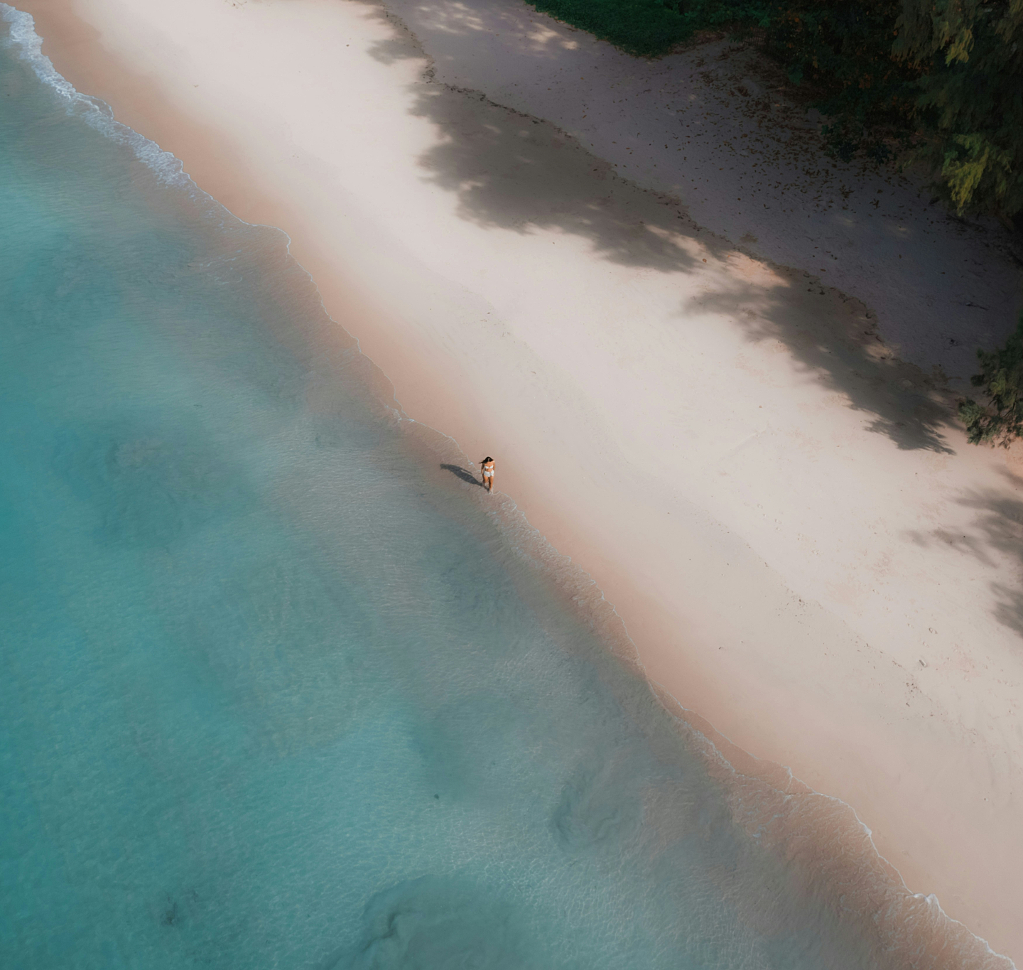 57a861899a72524599ca907ec7e6f5ba