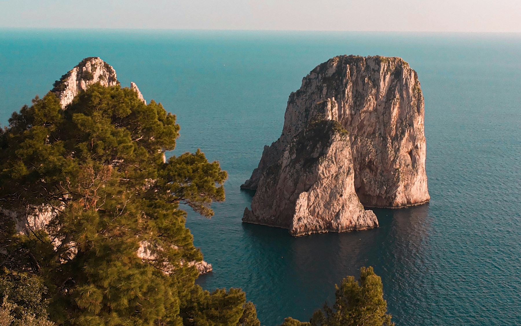 Martino grua ycjcda6g0x I unsplash