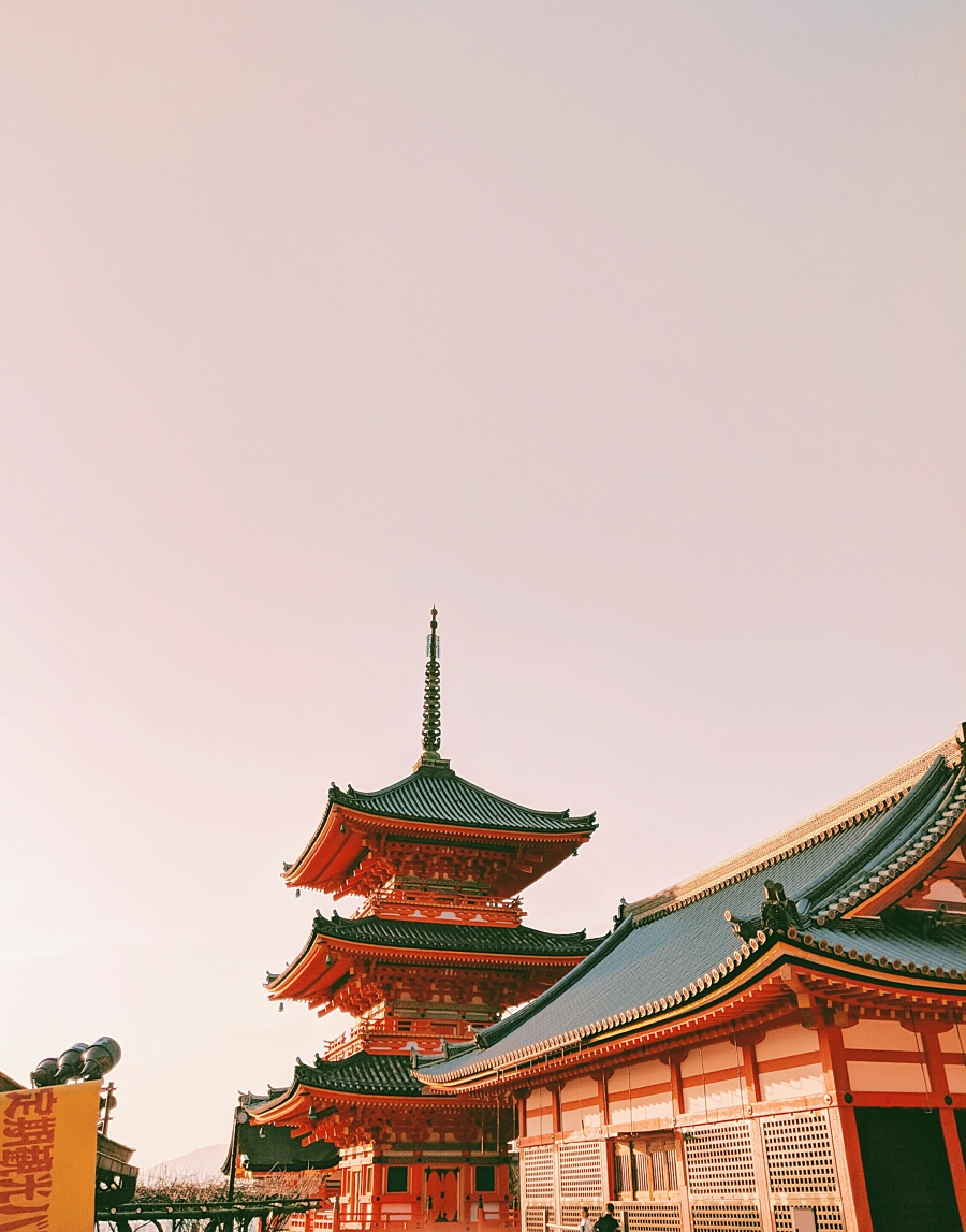 Zhgn 7 Rt WTA Xvms unsplash