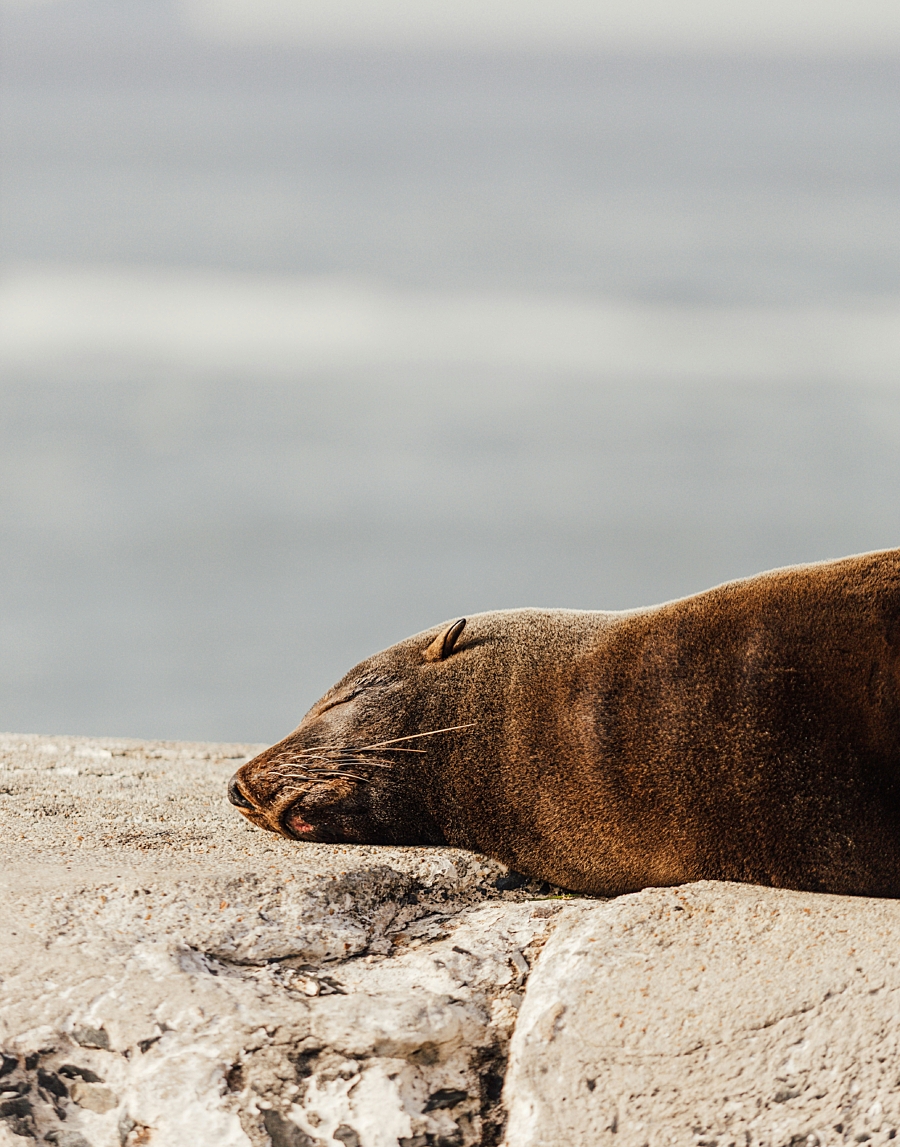 Pierre lemos oom3 F0 Anew8 unsplash