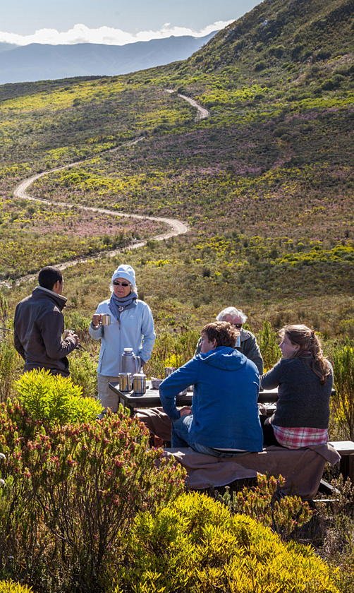Web grootbos experience flower safari 13