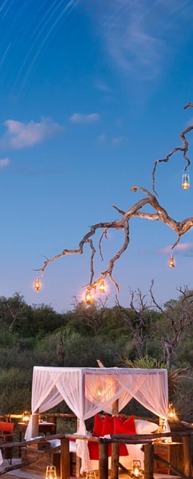 Zuid Afrika Sabi Sands