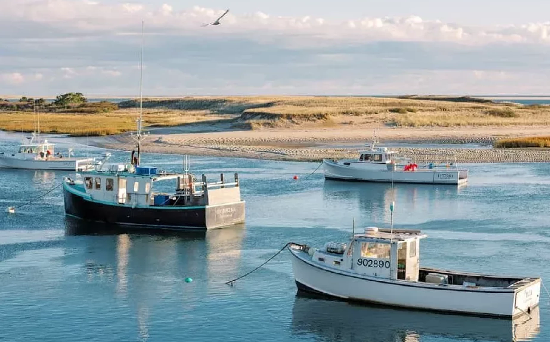 CHATHAM BOAT SCENE 2023 area gallery 880x667