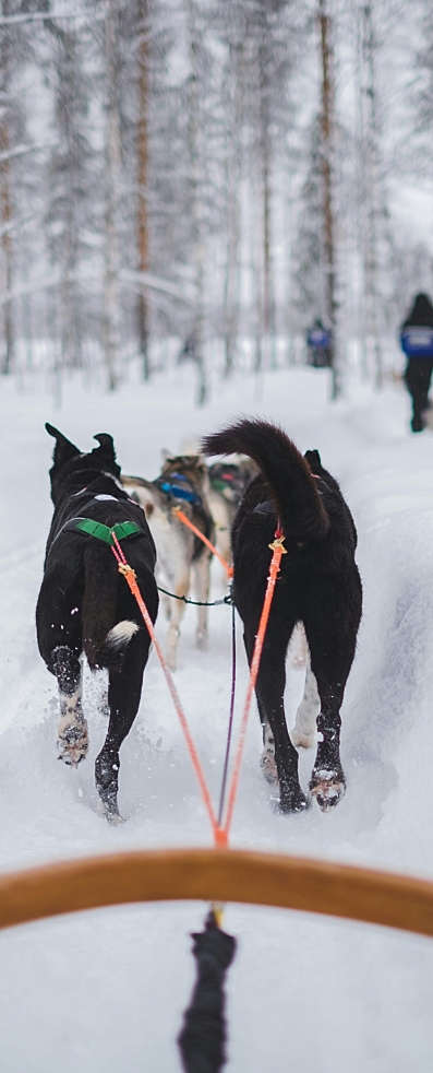 Jeremy stenuit Je6p3 FF4jh0 unsplash