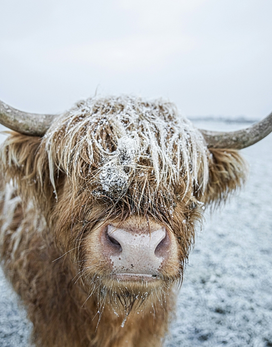 Luke thornton Py Dz Qe6 JZ Kc unsplash