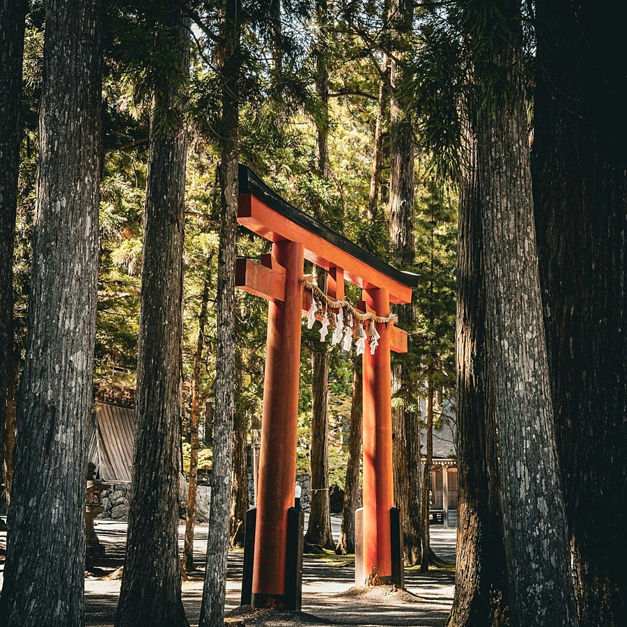KOYA v c p BU Aau Z02 YU unsplash