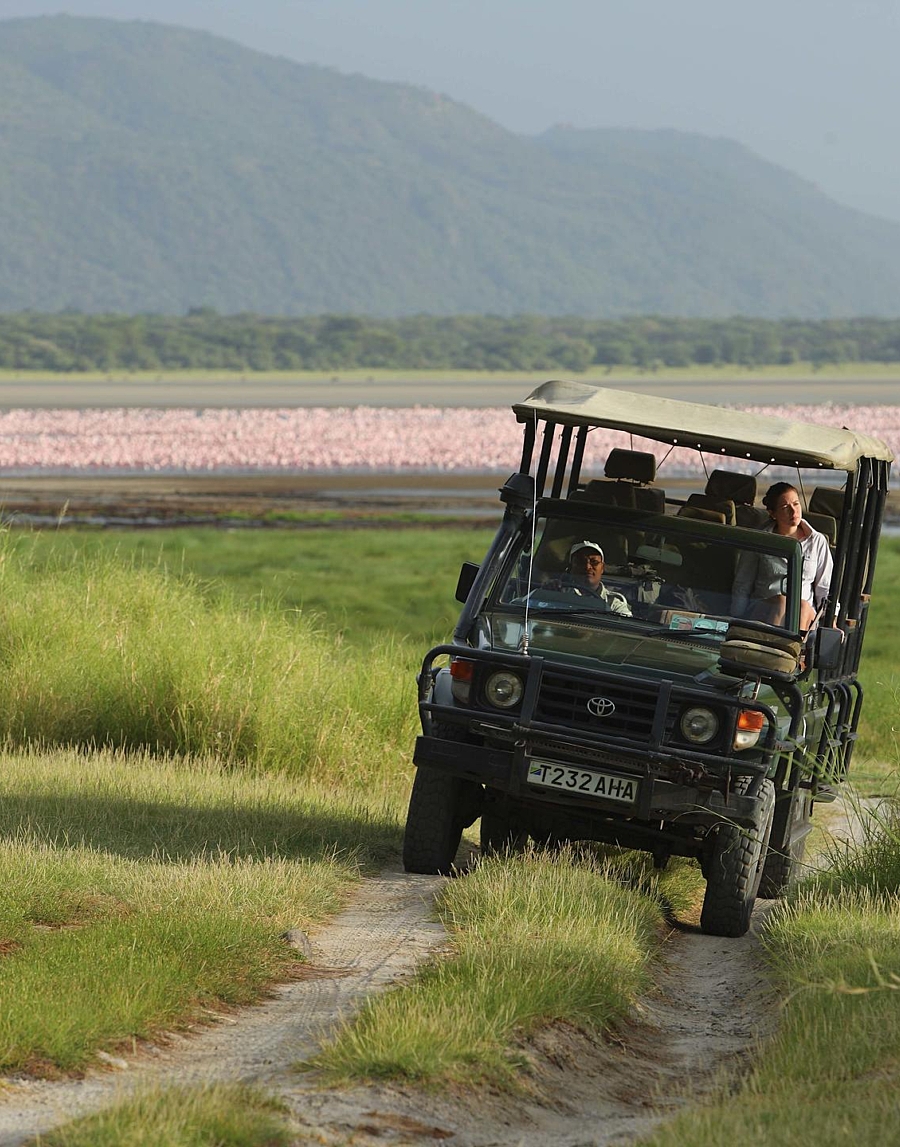 Manyara tree lodge 2014 611
