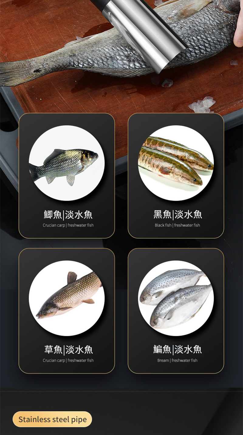 鯽魚淡水魚黑魚淡水魚Crucian carp  freshwater fishBlack fish  freshwater fish草魚淡水魚鯿魚|淡水魚Crucian carp | freshwater fishBream | freshwater fishStainless steel pipe