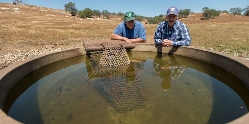 Emergency Conservation Program (ECP) Guide - Ambrook