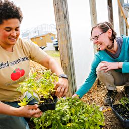 Cover photo for Missouri Urban Agriculture Matching Grant Program