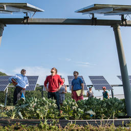 Cover photo for Solar Massachusetts Renewable Target Program