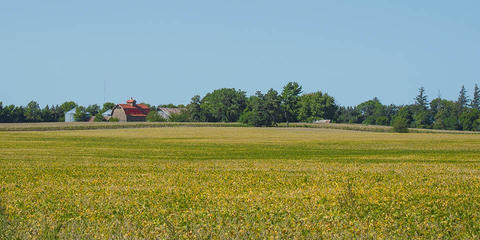 Cover photo for Conservation Stewardship Program: Grasslands Conservation Initiative