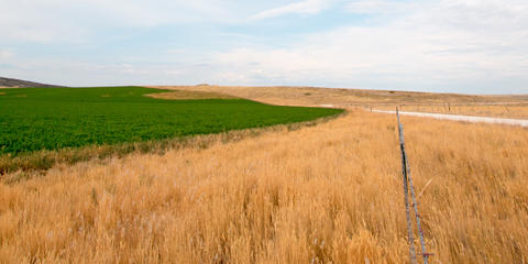 Cover photo for Montana Growth Through Agriculture Program