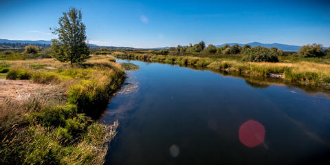 Cover photo for Agricultural Conservation Easement Program: Wetland Reserve Easements