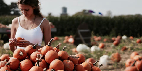 Cover photo for Black Farmer Fund Rapid Response Program