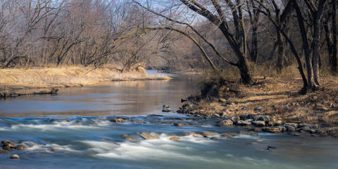 Cover photo for Iowa Urban Conservation Projects Grant