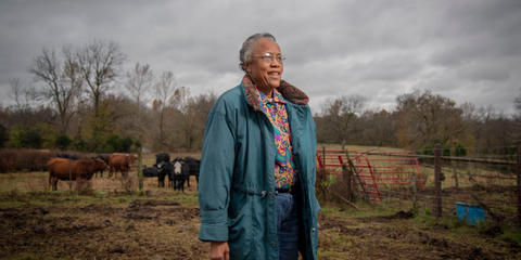 Cover photo for Black Farmer Fund