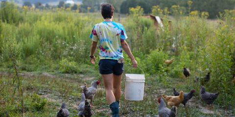 Cover photo for Colorado Boulder County Sustainable Food and Agricultural Grant Program