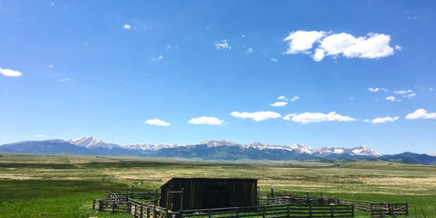 Cover photo for Colorado Next Gen Ag Leadership Grant Program