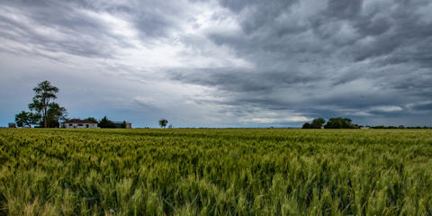 Cover photo for Colorado Farm & Food Systems Respond & Rebuild Fund