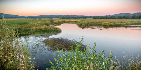 Cover photo for Conservation Reserve Program