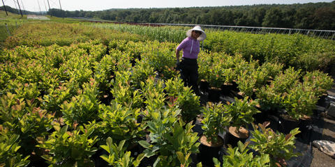 Cover photo for Connecticut Farm Reinvestment Grant