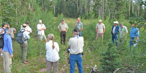 Cover photo for Emergency Forest Restoration Program