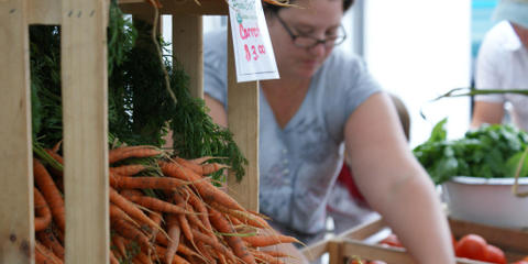 Cover photo for Connecticut Farm Enterprise Transition Grant