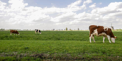 Cover photo for First Time Farmer Finance Program