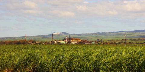 Cover photo for Hawaii Food Manufacturing Loans