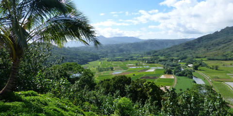 Cover photo for Hawaii Qualified Farmer Loan