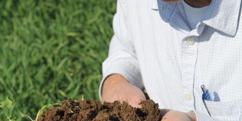 Cover photo for Healthy Soils Program
