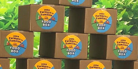 Cover photo for Farmers to Families Food Box