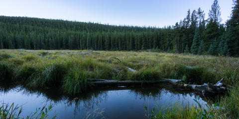 Cover photo for Iowa Incentive Payments for Conservation Practices