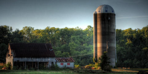 Cover photo for Kentucky Small Scale Farm Grant