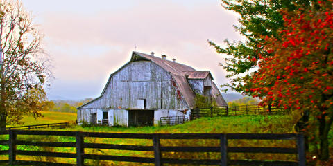 Cover photo for Kentucky Selling Farmer Tax Credit Program