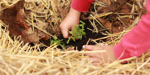 Cover photo for Massachusetts Agricultural Climate Resiliency & Efficiencies Program