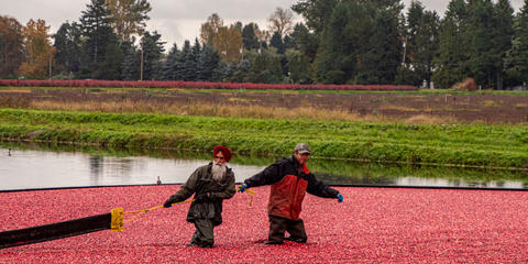 Cover photo for Massachusetts Agricultural Environmental Enhancement Program