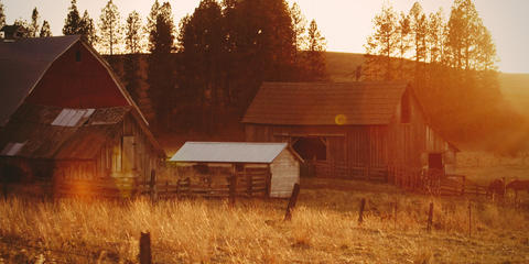 Cover photo for Massachusetts Agricultural Preservation Restriction Program