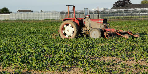 Cover photo for Massachusetts Society For Promoting Agriculture Grant