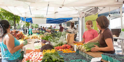 Cover photo for Massachusetts Food Ventures Program