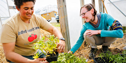 Cover photo for Missouri Urban Agriculture Matching Grant Program