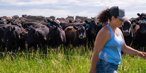 Cover photo for Montana Junior Agriculture Loan Program