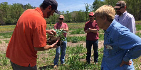 Cover photo for North Central SARE Professional Development Grant