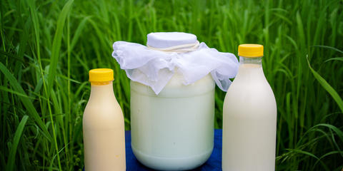 Cover photo for Northeast Dairy Packaging Innovation Grant