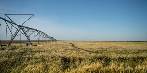 Cover photo for Nebraska Private Well Reverse Osmosis Rebate Program