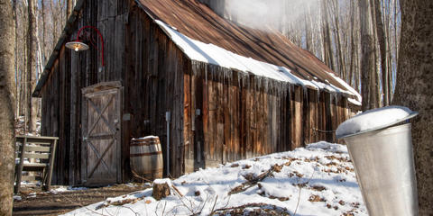 Cover photo for New Hampshire Specialty Crop Block Grant Program