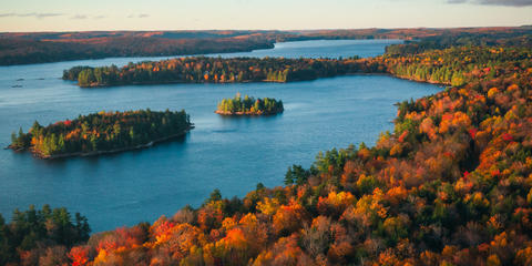 Cover photo for New York Agricultural Environmental Management Grants